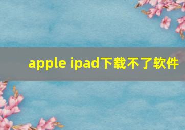 apple ipad下载不了软件